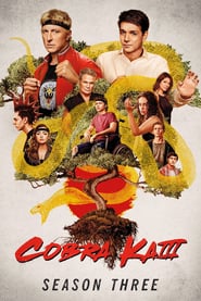 Cobra Kai – 3ª Temporada – Todos os Episódios
